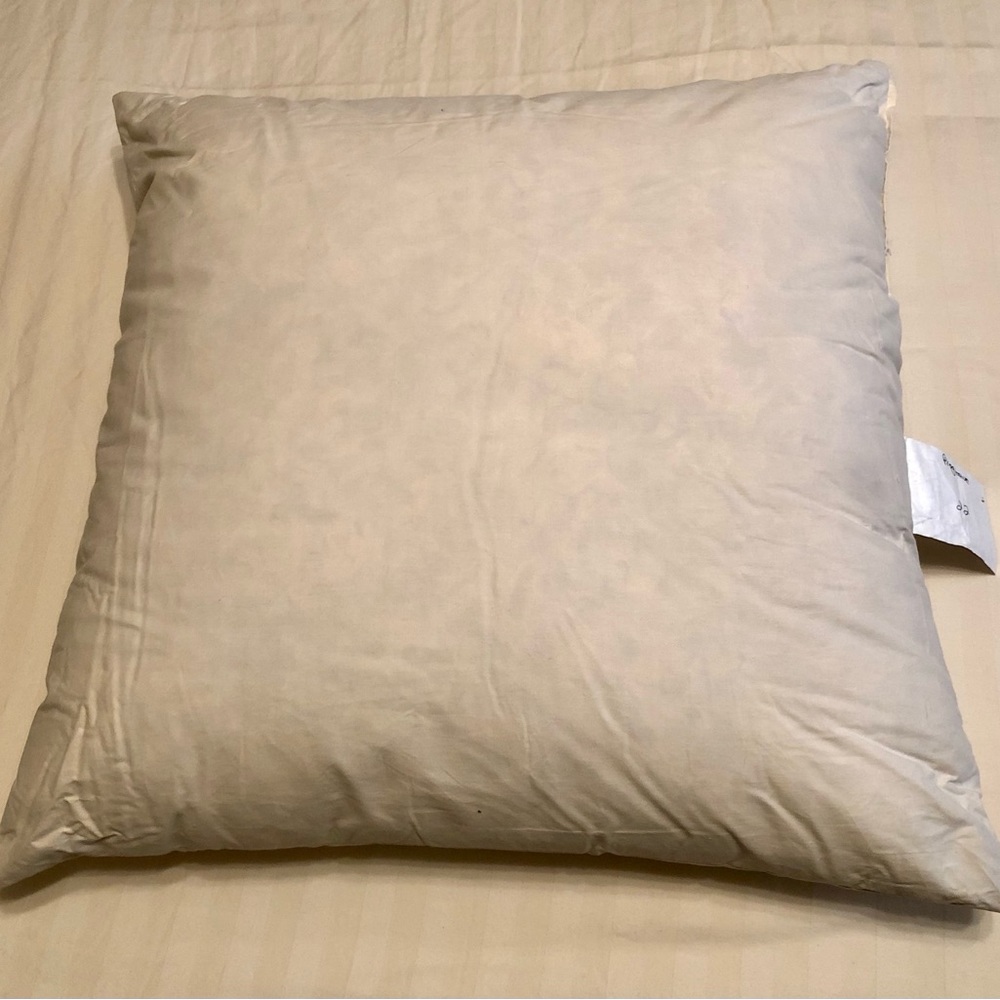 Pillow inserts, down, 22” Custom made for Cindi White Designs. NEW!! Set of 2